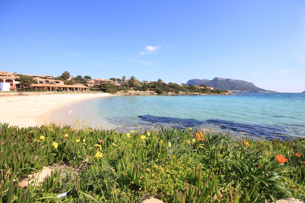 Apartment In S'Abba E Sa Pedra With Pool Golfo Aranci Kültér fotó